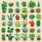 怎样分辨不同种类的植物?