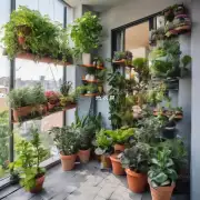 阳台面积较小的情况下有哪些适合种植的小型植物可以选择呢？