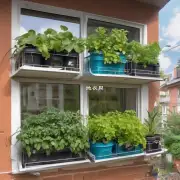哪些适合于阳台或小空间种植?