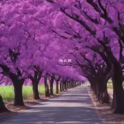 如何确定最适合的迁移时间以栽植紫薇树？