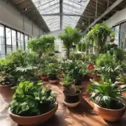 怎样为室内植物提供足够的水分和养分?