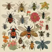 有哪些方法可以识别并确定哪些类型的昆虫是导致花朵凋谢的主要因素?