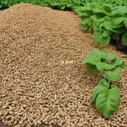 如何利用蔬菜残渣制作的花生叶肥料?