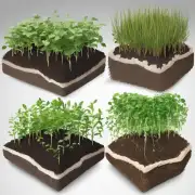 在使用固定根时需要注意哪些要点才能保证植物生长健康?