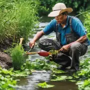 您对于在进行河花种植时需要注意哪些问题?这个问题的理解是怎样的呢?