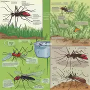 跟着这些方法来驱蚊子你确定吗?