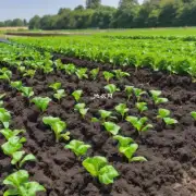 对于植物病害和虫害较为敏感的植物品种有没有研究证明可以在土壤中加入添加剂以提高植物抗性或防治疾病?