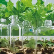如何确定水培绿色植被对哪些特定营养素的需求?