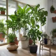 哪些大型室内植物比较容易养护和管理?