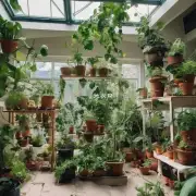 室内种植的大多数植物是否适应户外生活?为什么?