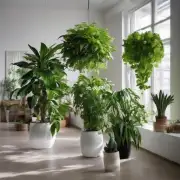 哪些大型室内植物可以种植于有限的空间中同时具有装饰性?