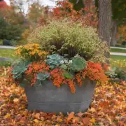 看看哪些植物在秋季打顶?