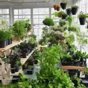 如何选择适合种植在室内的植物?