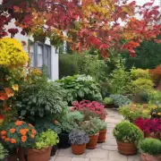 我想了解一些适合在家中种植的秋季开花植物你能给我推荐几款吗?