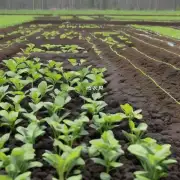 我应该如何确定水培绿萝所需要的特定肥料类型?