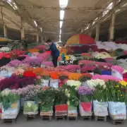 那么这个固安花卉市场是在哪里呢?