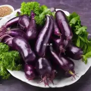 如何提高紫背菜的品质和营养价值?