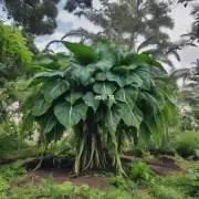 有没有其他类型的植物或者动物可以与这些超级巨型植物相提并论吗?