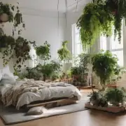 你知道在秋天哪些盆栽植物更适合放在卧室里吗?