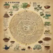 为什么葛藤类植物经常出现在中国传统医学中?
