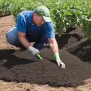 您认为在种植过程中如何施肥?