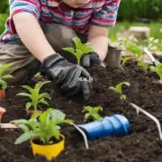 在种植夏令时最好使用哪种土壤?