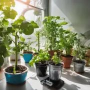 你打算在室内还是室外种植?