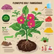 哪些成分是家庭养花专用花土必须包括的?