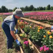 花卉养殖是属于农业还是园艺?