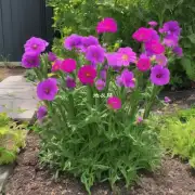 我可以自己制作花卉绿植的插花吗?