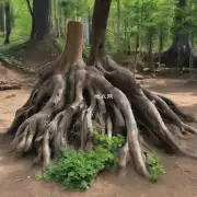 对于根系受损的植物而言可以使用什么样的树桩来实现其嫁接目的?
