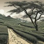 在中国有哪些著名的茶树园呢?