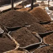 如何选择适合种植桃梅的土壤呢?