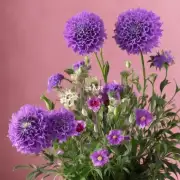 为什么一些花卉被认为适合放在室内吗?