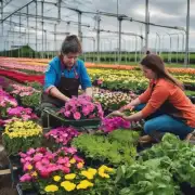 花卉养殖与种植业有什么联系吗?