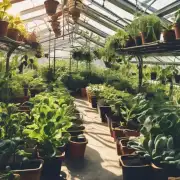 为什么有人经常听到植物需要充分的阳光来进行健康生长而却看到许多种植物在室内栽培中茁壮成长?