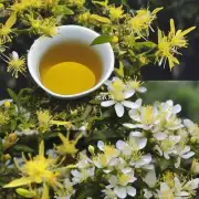 在一般情况下是什么原因导致了茶花嫩叶子转变为黄色呢?