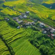中国江西省大余县在农业方面有哪些特色农产品?