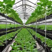 您的建议是在室内栽培时使用有机肥料吗?
