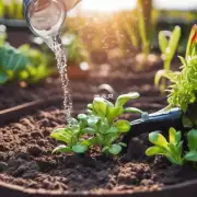 对于那些喜欢干燥土壤或多湿多阳光的植物来说怎么浇水才对它们有利呢?