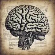 为什么我们的大脑会对听到的声音产生记忆但是看到的事情却很难记住?