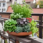 什么样的花盆适合放置在阳台上种植花草?