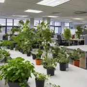 在办公室里种植盆栽植物的最佳时间是什么时候?