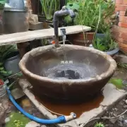 换盆后需要如何浇水给建兰呢?