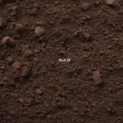 如何填充新的土壤?