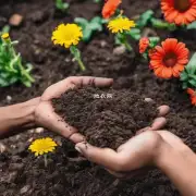 家庭养花木需要什么样的土壤?