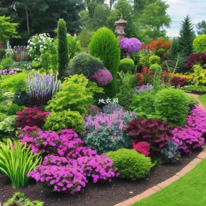 哪些植物适合用于花园和公园中的装饰?