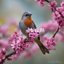 小鸟眷恋春天，因为它懂得飞翔才是生命的价值。