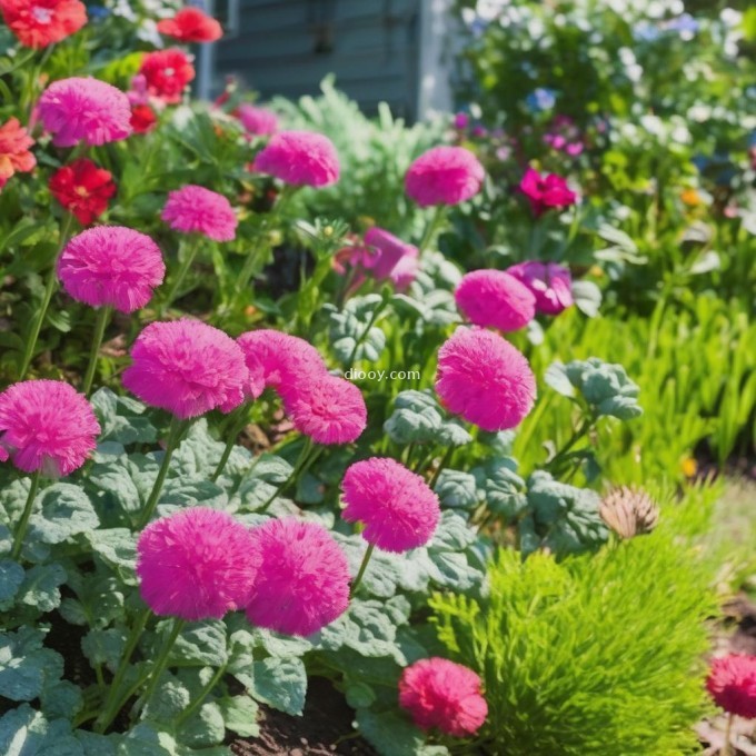什么是最好的肥料类型用于花园和庭院？