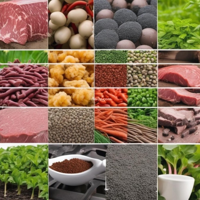 在种植多肉植物时应该使用哪种类型的肥料？